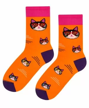 КОТКА С ОЧИЛА